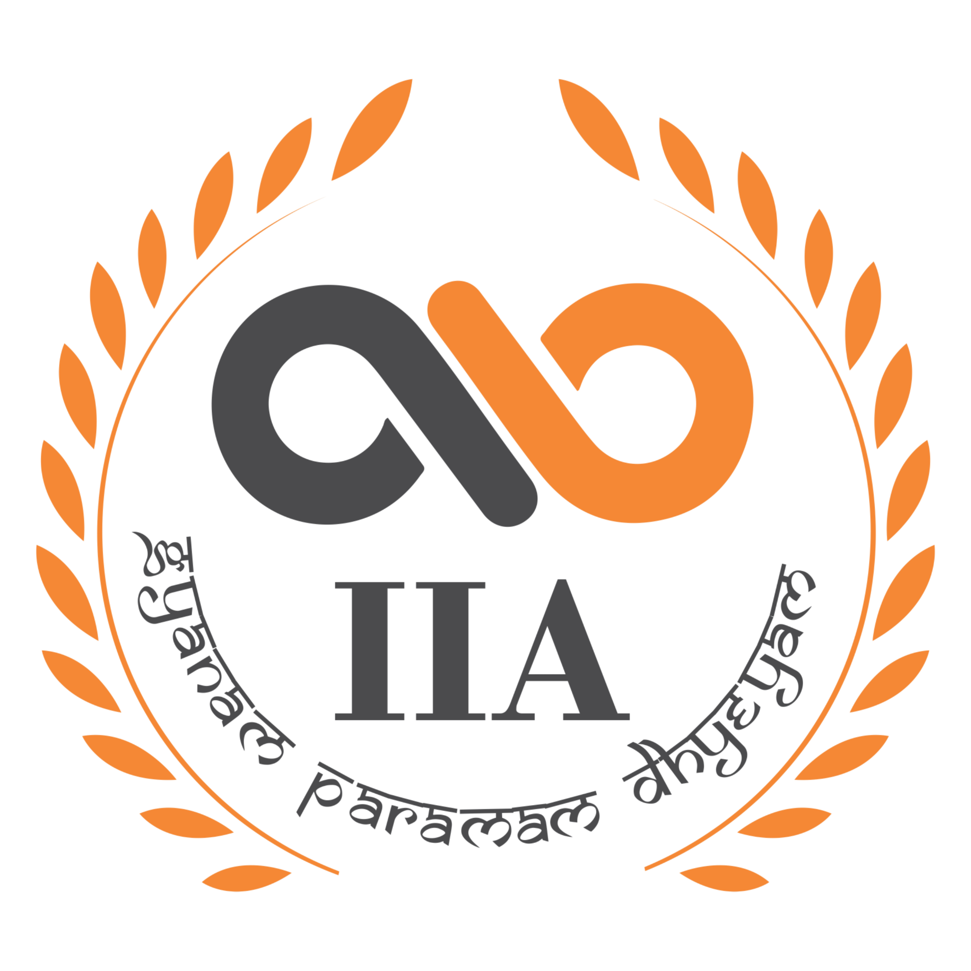 Infinite IQ Academy Logo